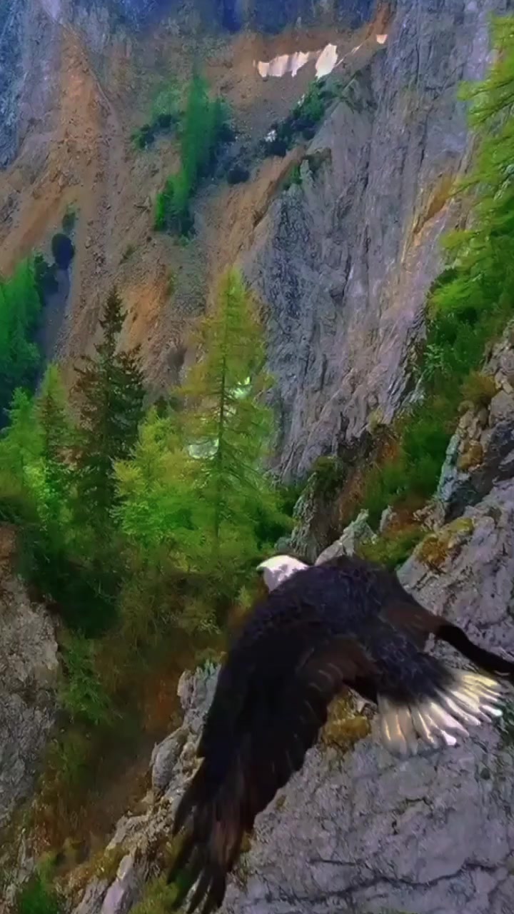 @🦅🦅🌞ANGEWL MOTIVADA🌞🦅🦅