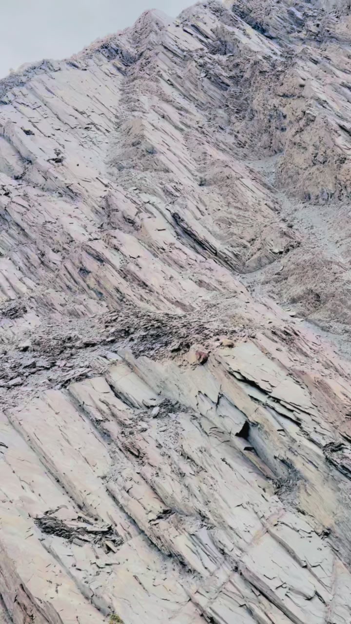 @shahmeerraza25