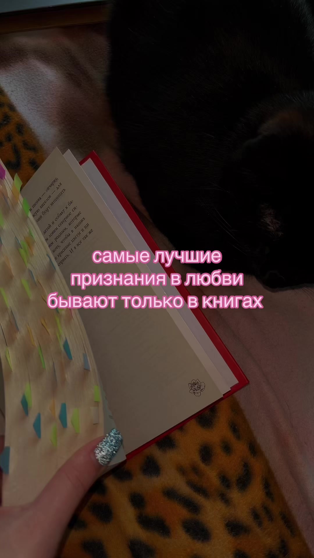@book_is_magic