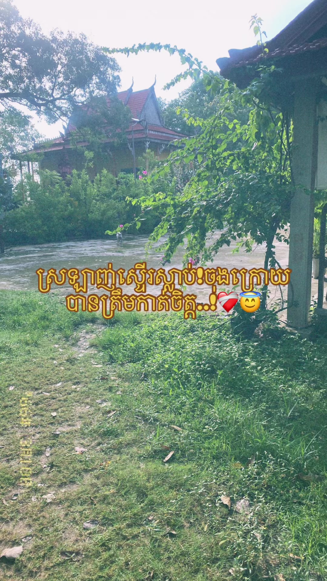 @កញ្ចនា កាលីប💗.