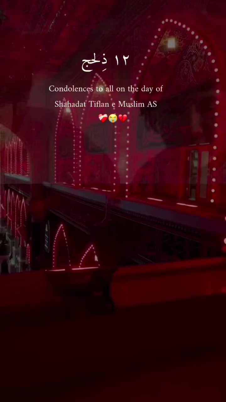 @Sayed Zada❤️🩹