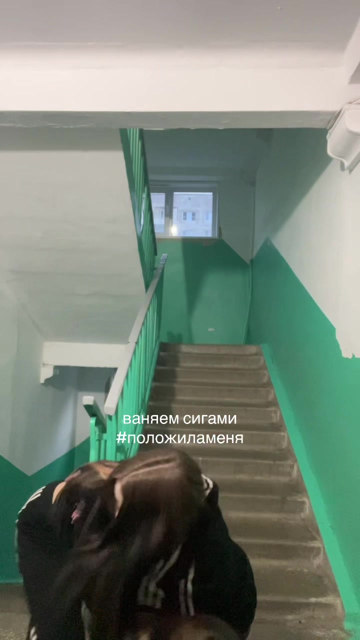 @одіскє мімоза