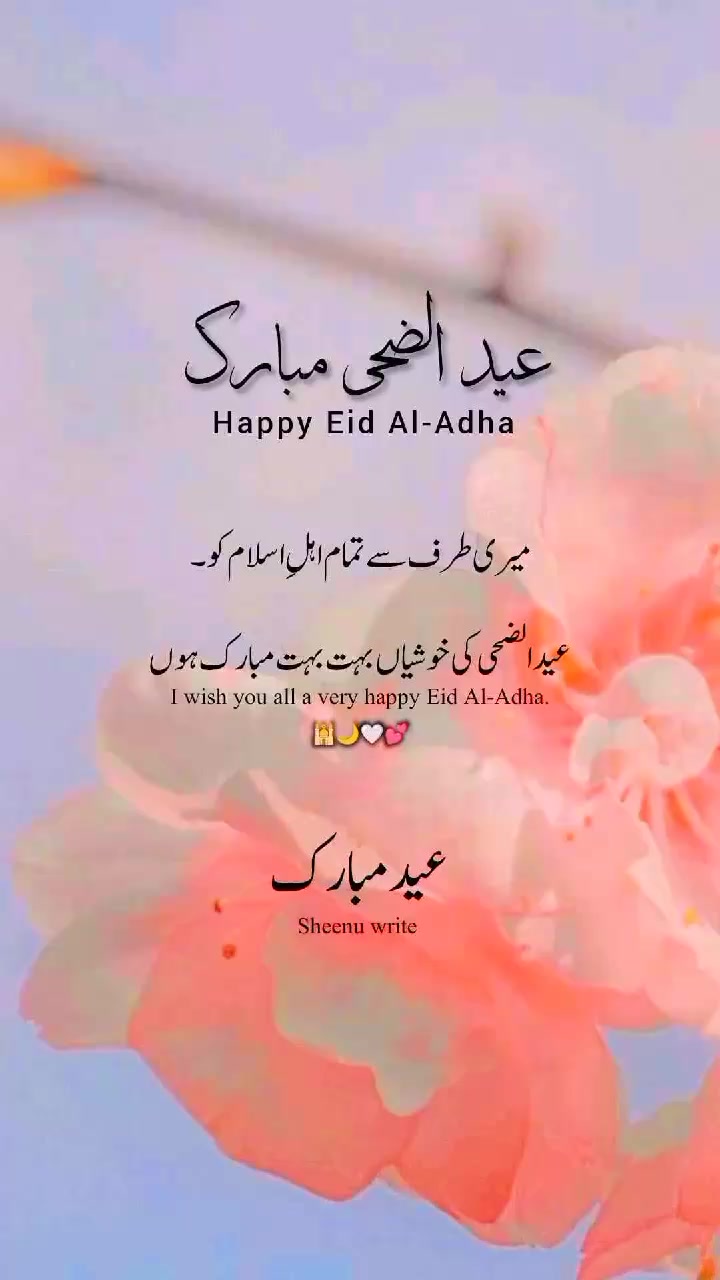 @Saim🫀