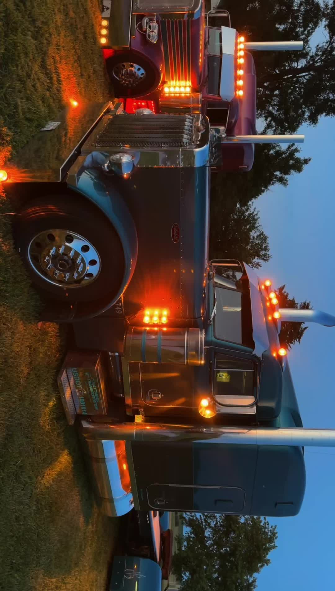 @379_Dayne