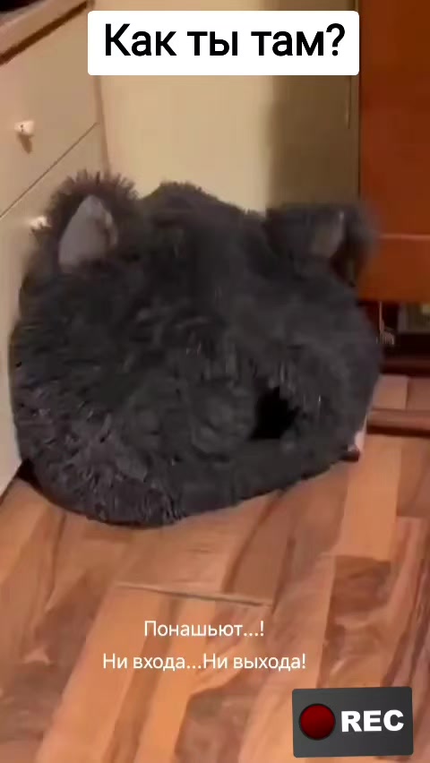 @Лариса