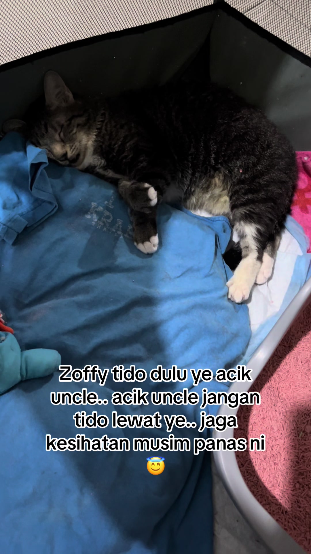 @gengbulus