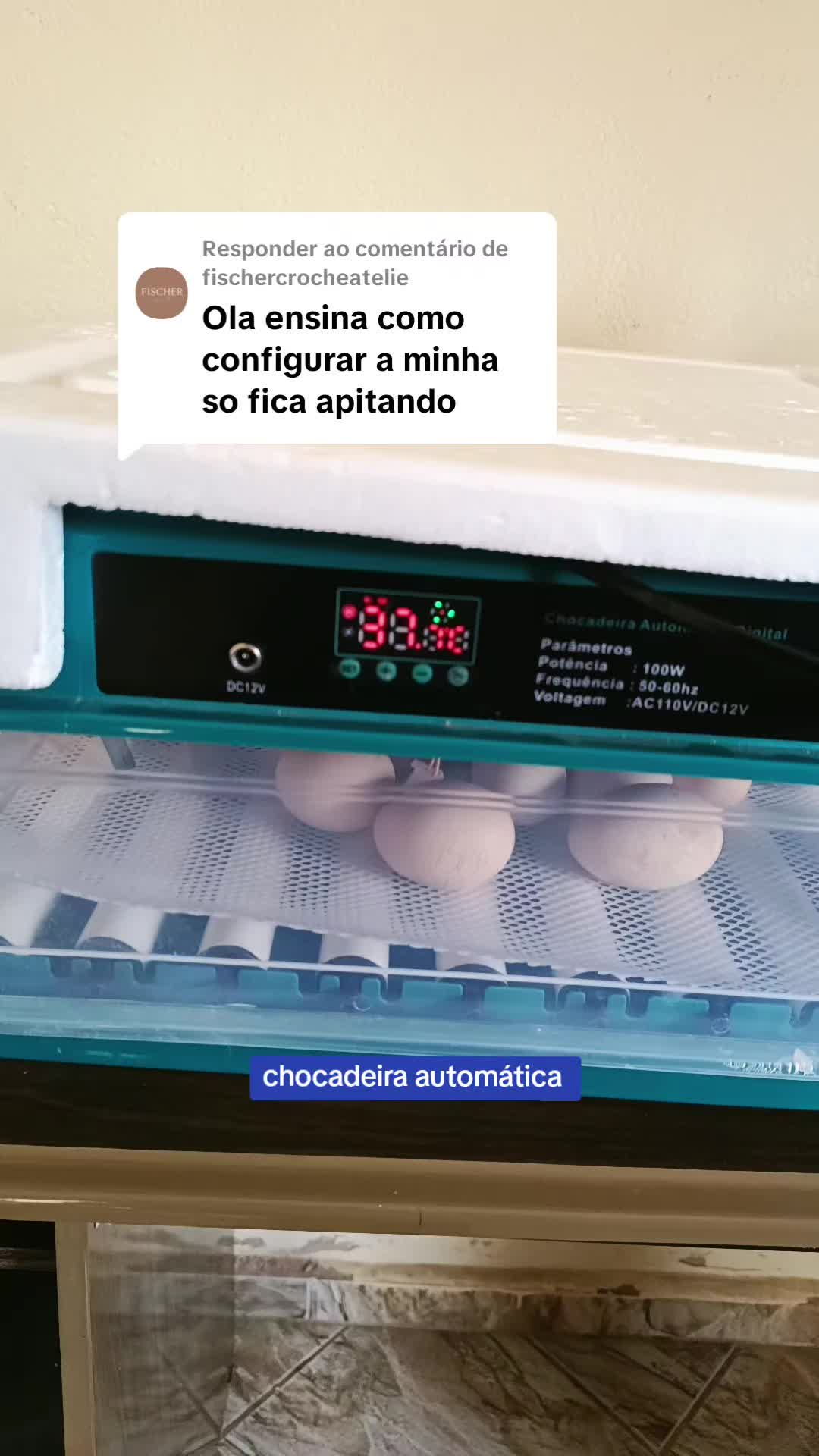 @Elaine Fernandes
