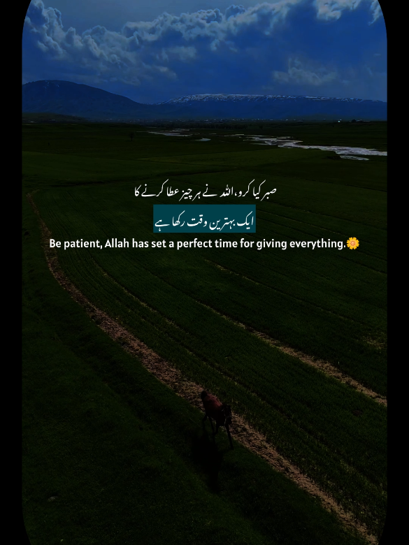 @Ehl-e-Ehsaas