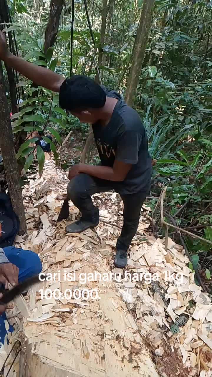 @zeroairin
