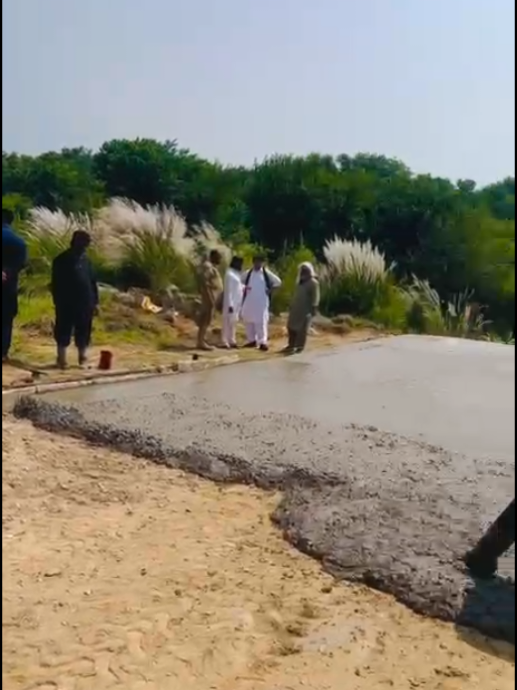@AHMEDTANOLI_1