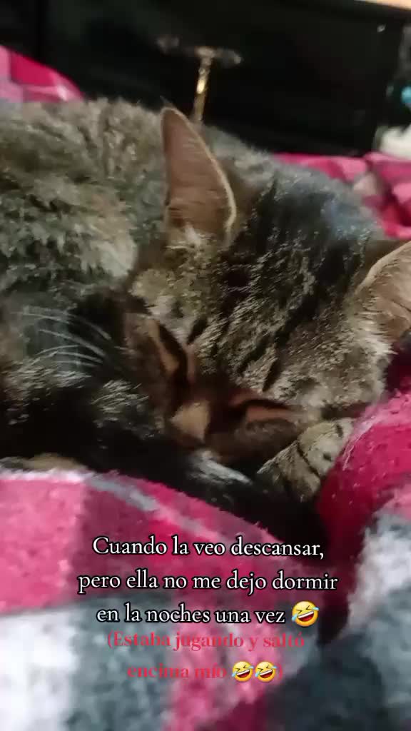 @♡ ♡