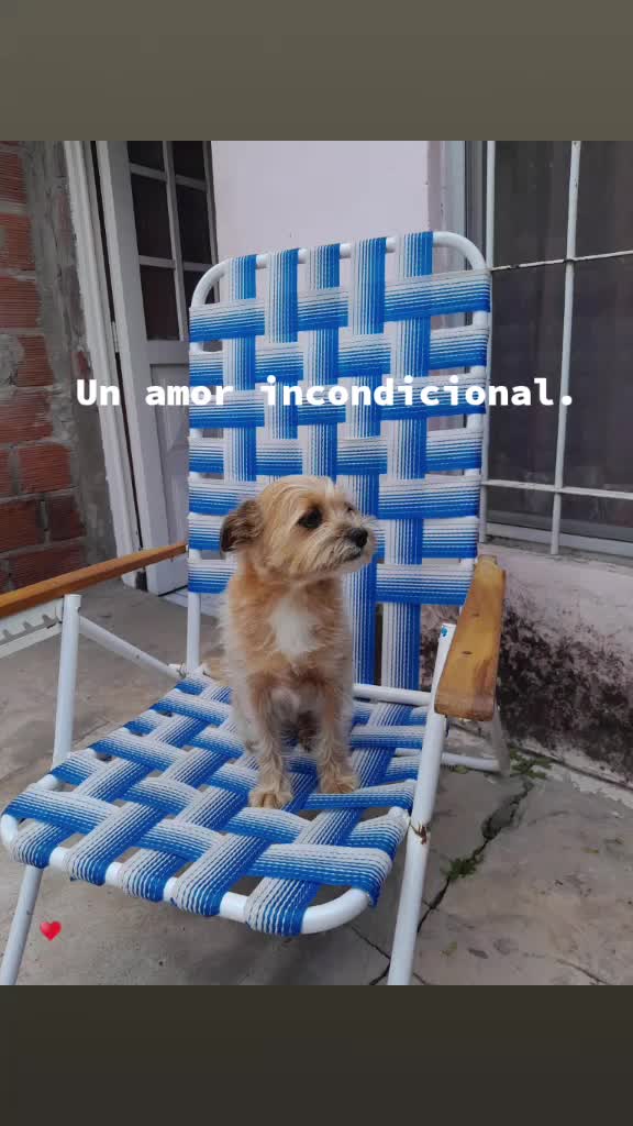 @Yaqui