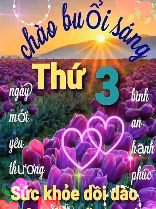 @Huỳnh Văn Được