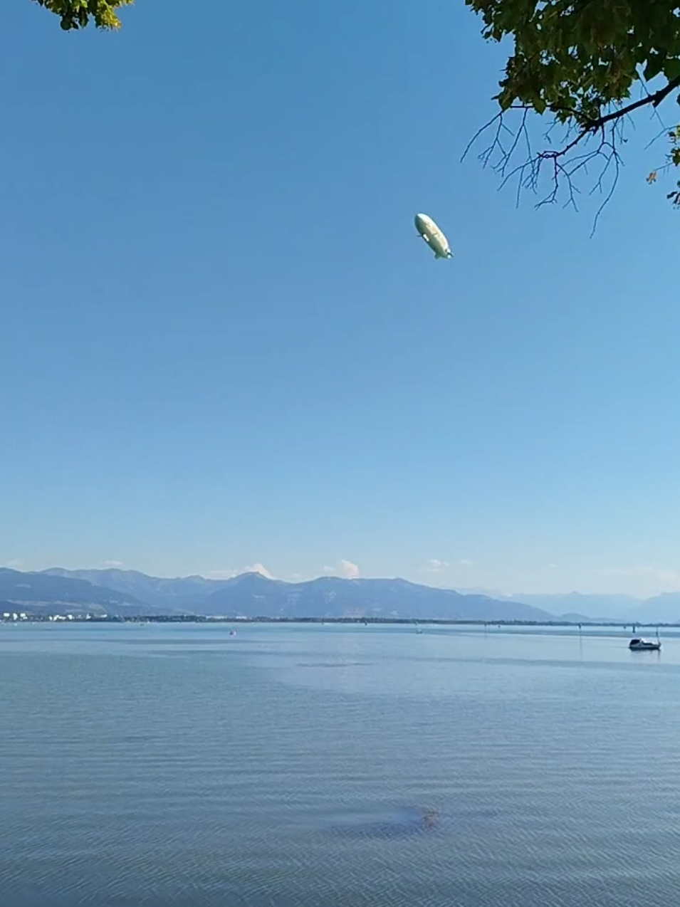@Die Linke Lindau