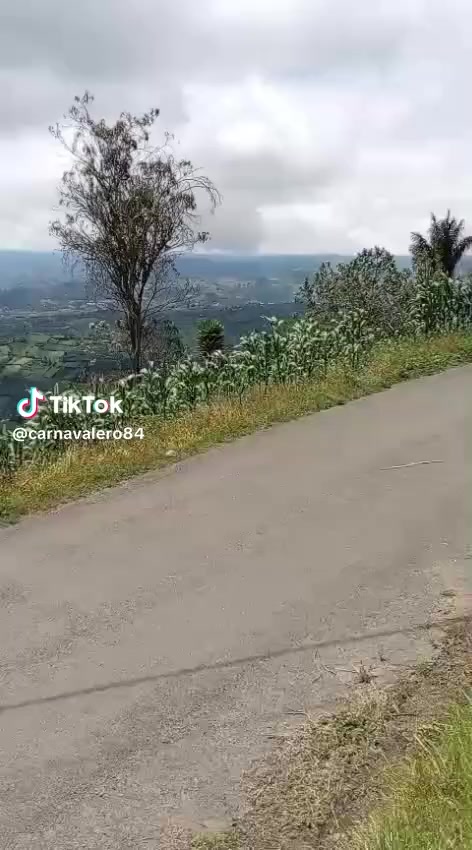 @Mariana Guzman
