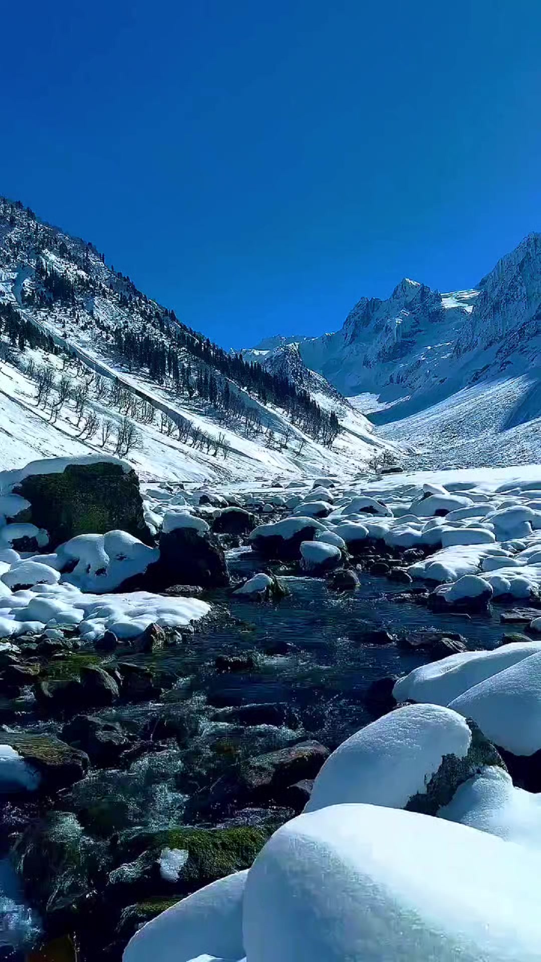 @Beautiful Earth