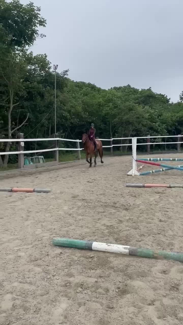 @🐴🤎