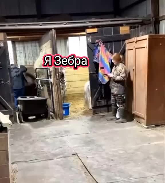 @BomBaLeila88888