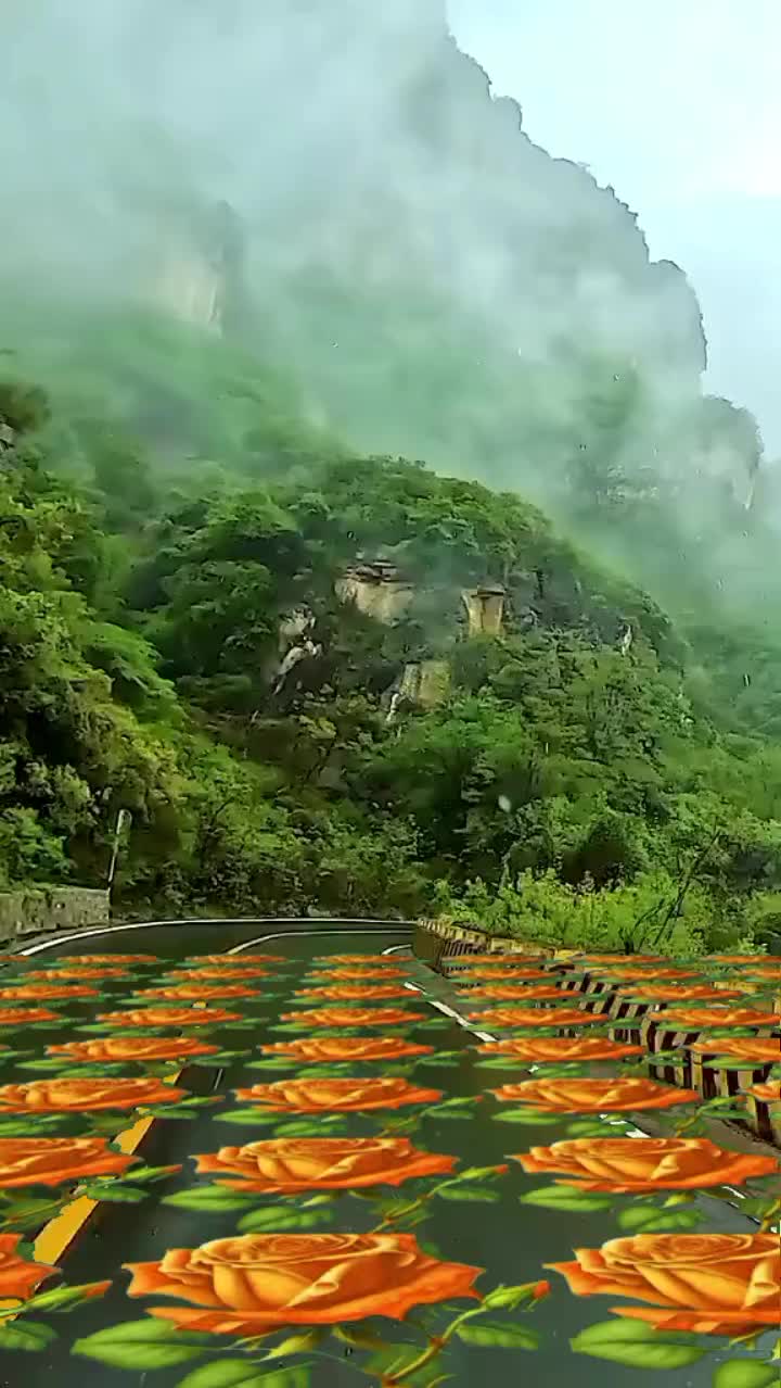 @Tun Zaw🦚ஓம்⚜️முருகன்🙏🏾துணை