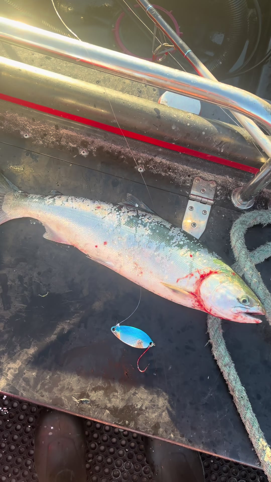 @FishingThe(250)