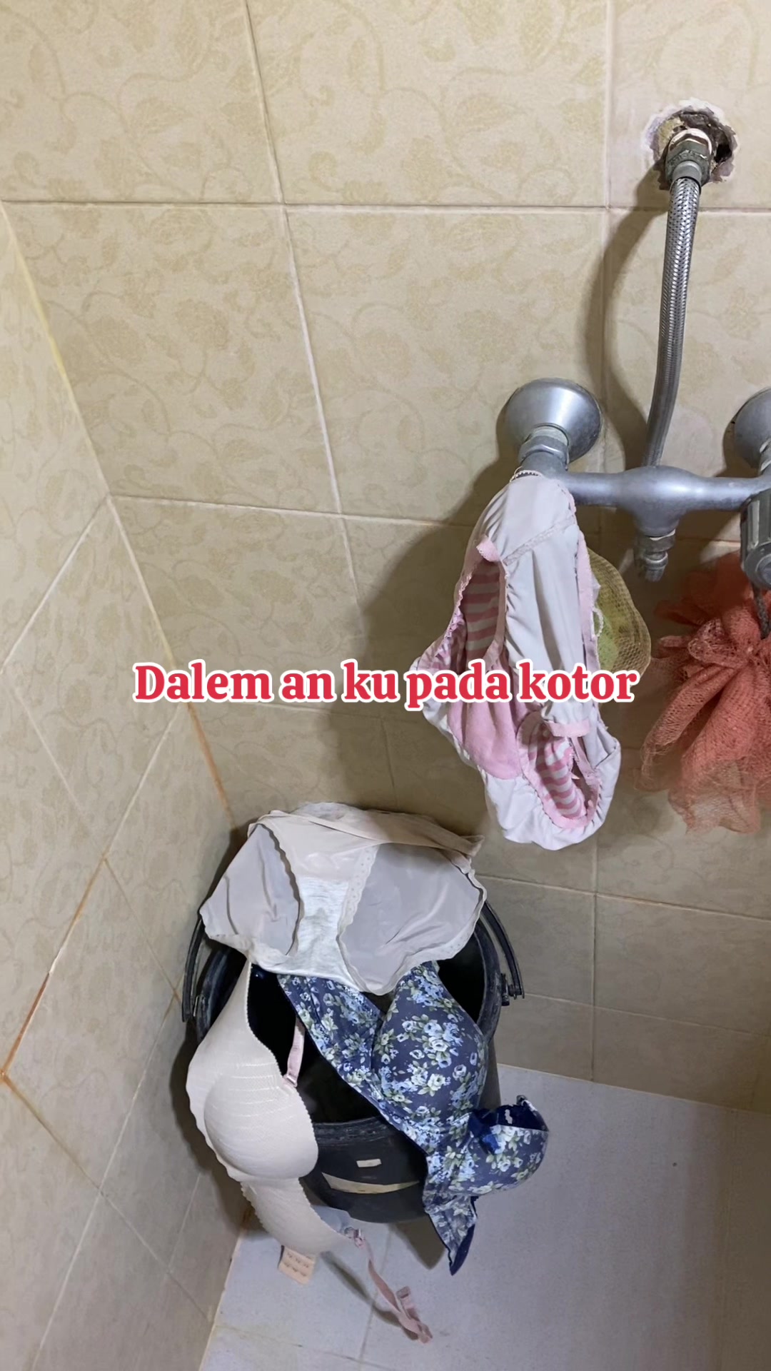 @Daleman Lia