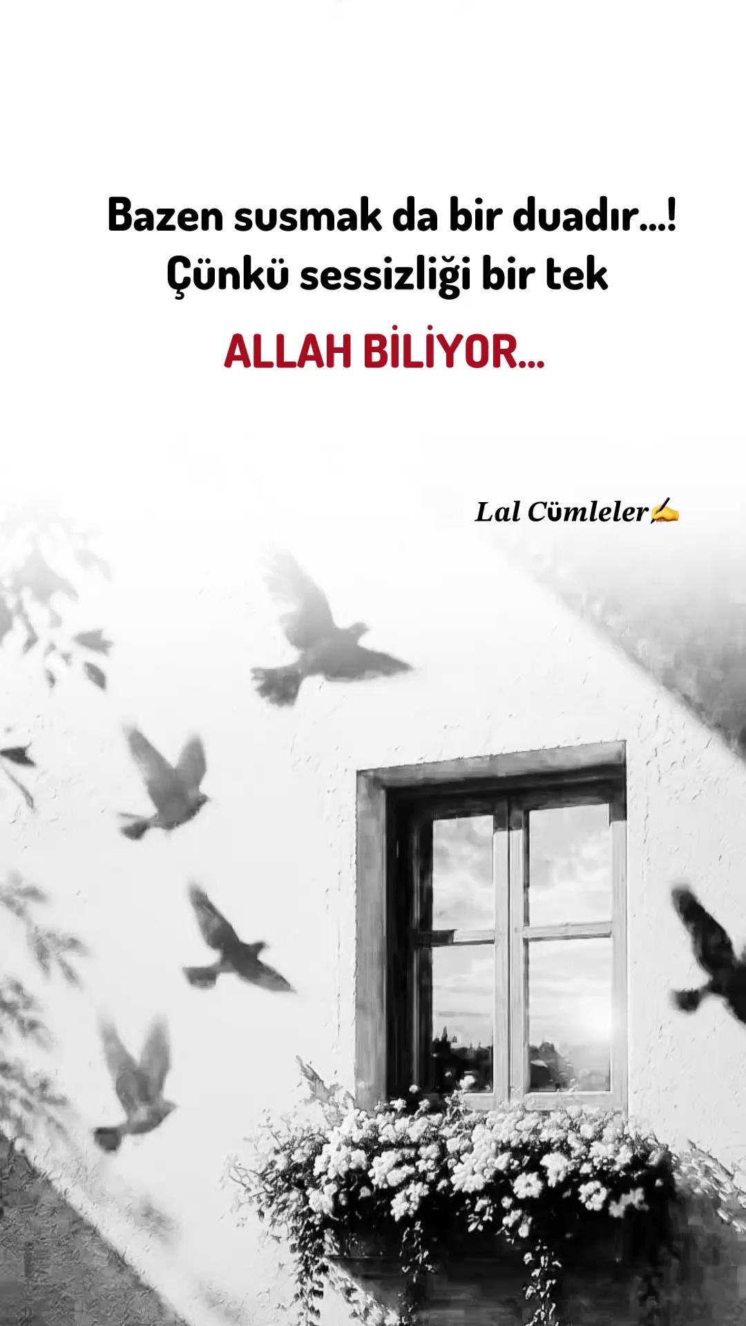 @𝑳𝒂𝒍 𝑪&uuml;𝒎𝒍𝒆𝒍𝒆𝒓✍️