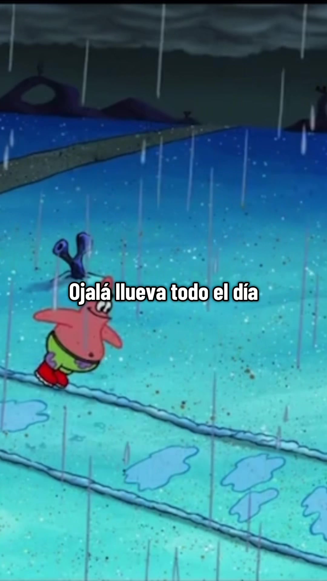@cotton candy