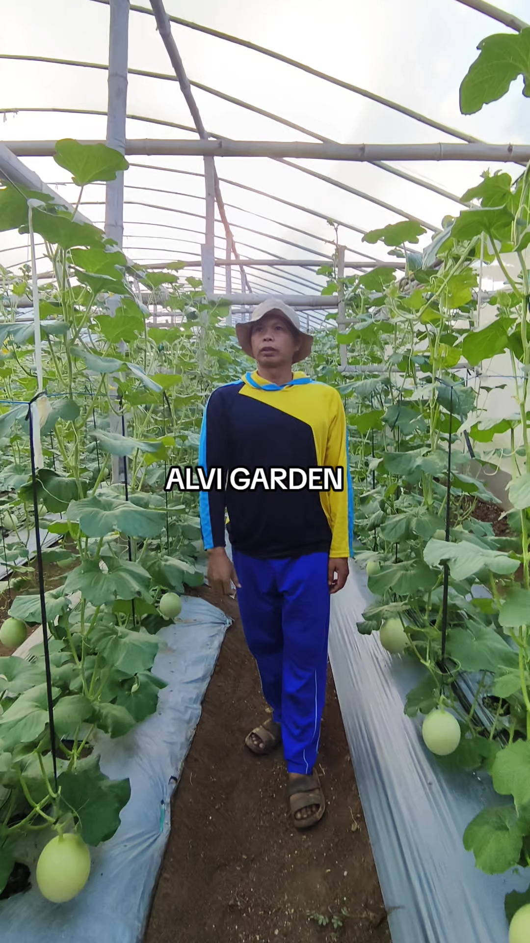@Alvi Garden