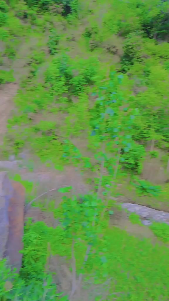 @💫ⓈⓘⓇⒶⒿ❼❽❻🦅