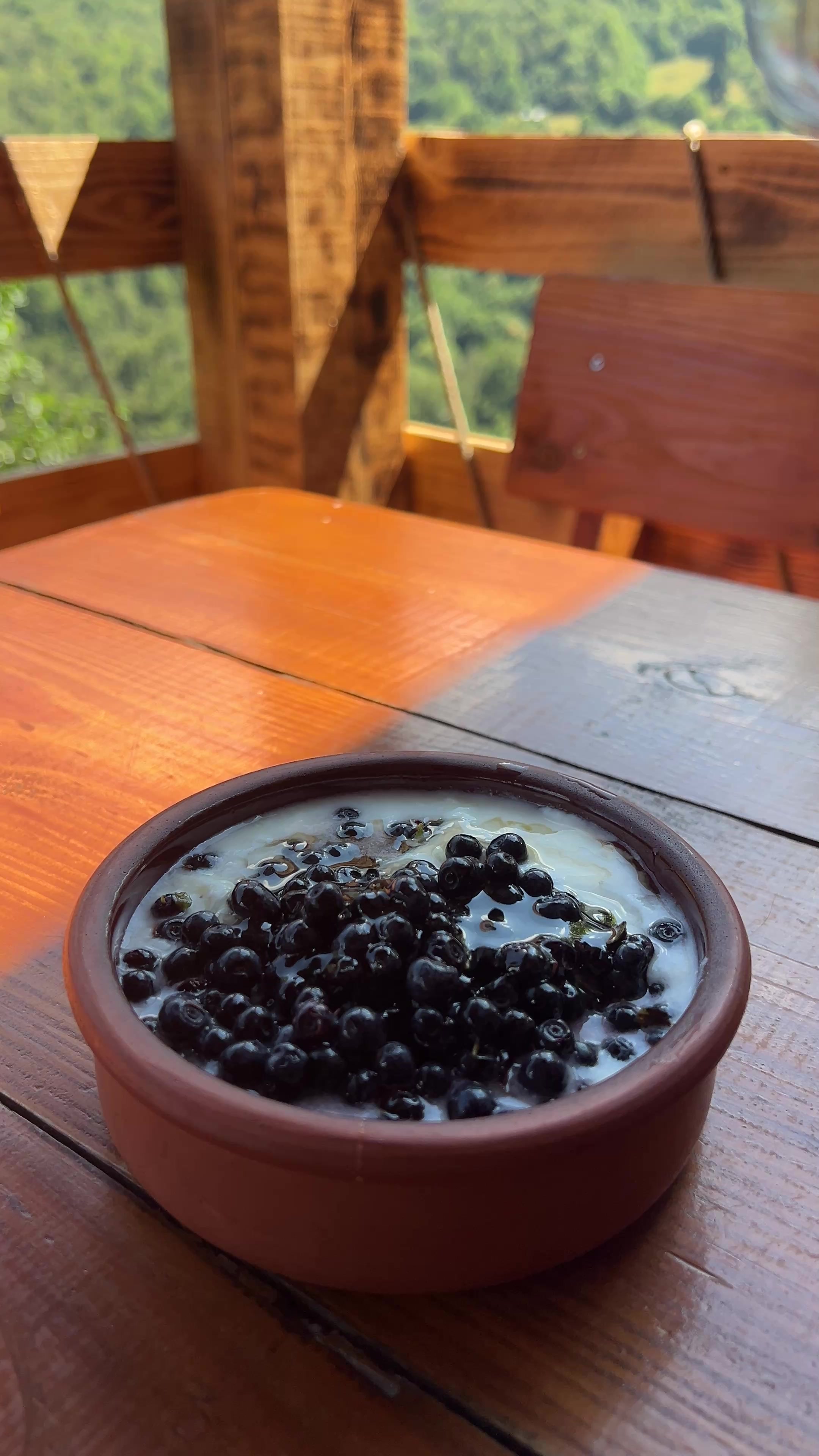 @Traditional Food "BOZOVCA"
