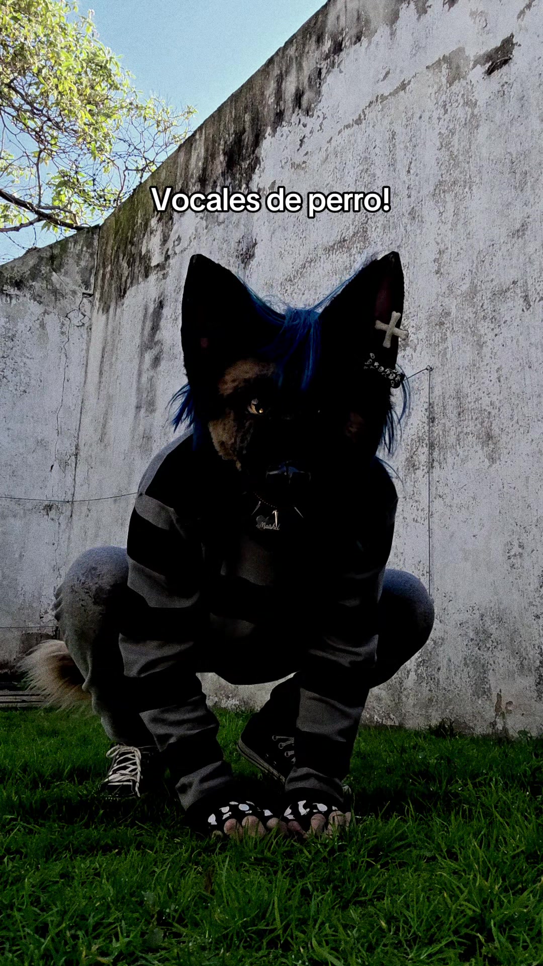 @🌈 Lexiii >.< 🦴