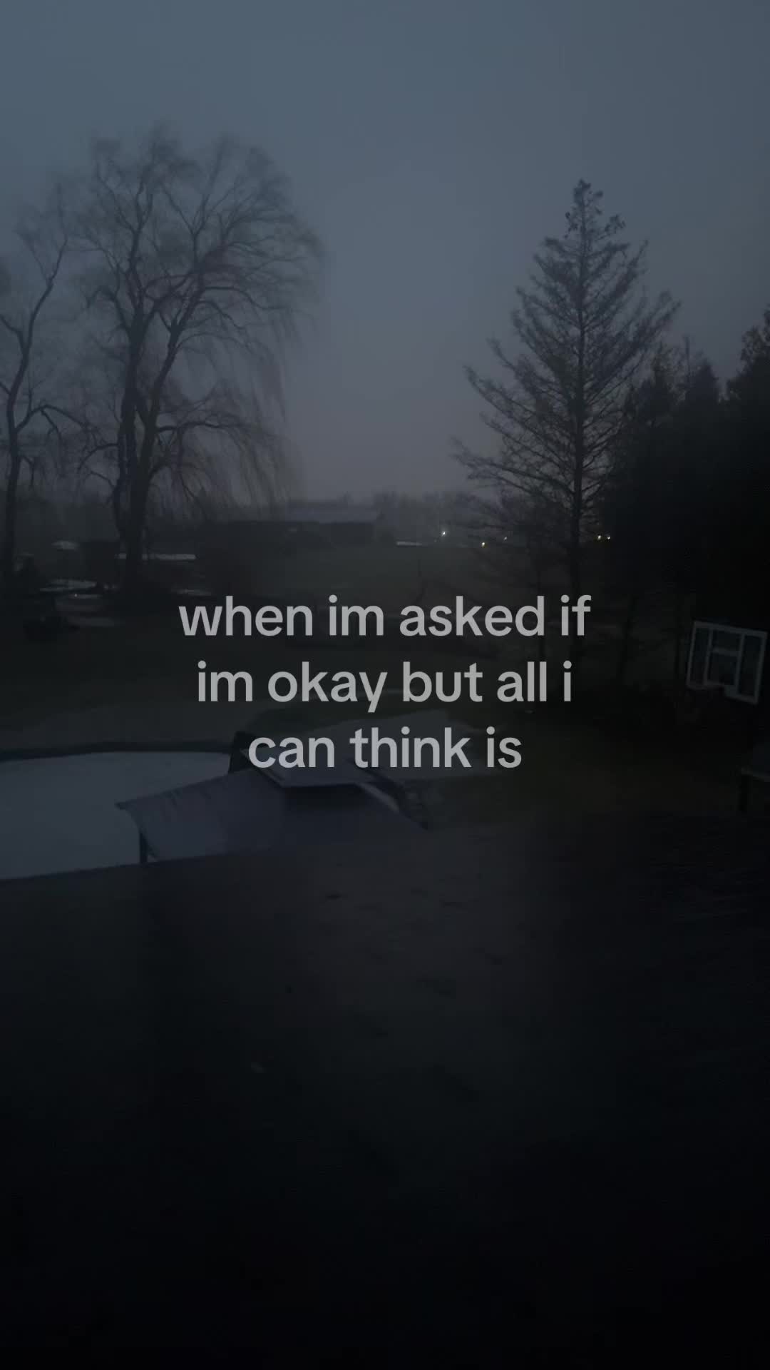 @444🪽