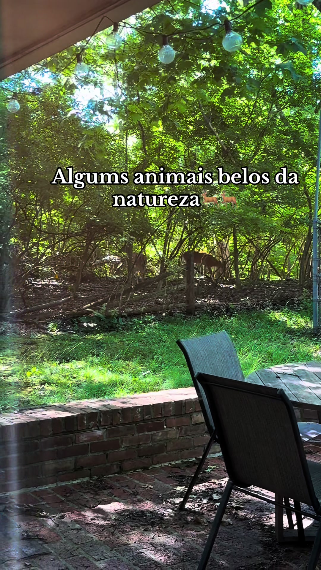 @Juliana Rodrigues🇧🇷🇺🇸