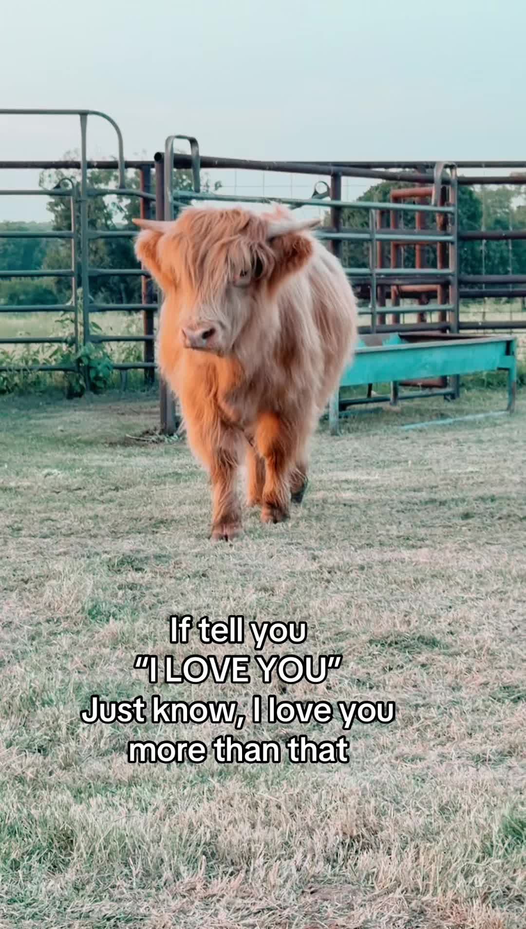 @Ganeva