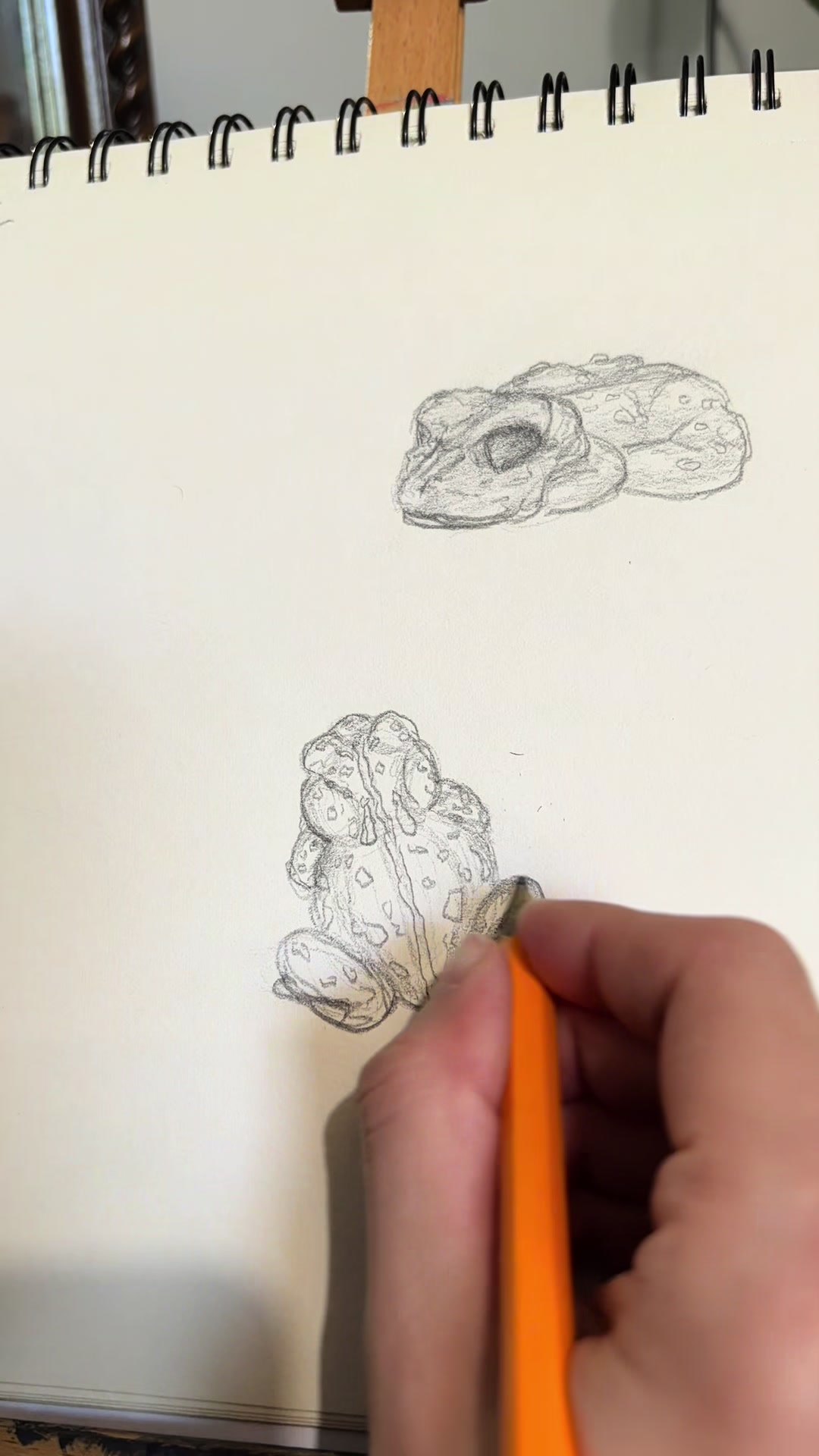 @ShaylaWayla |Canadian Artist🍁