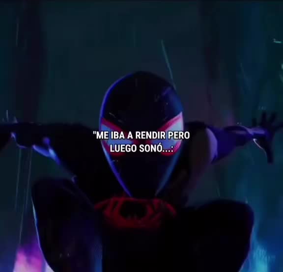 @Songs Spider 🕸️