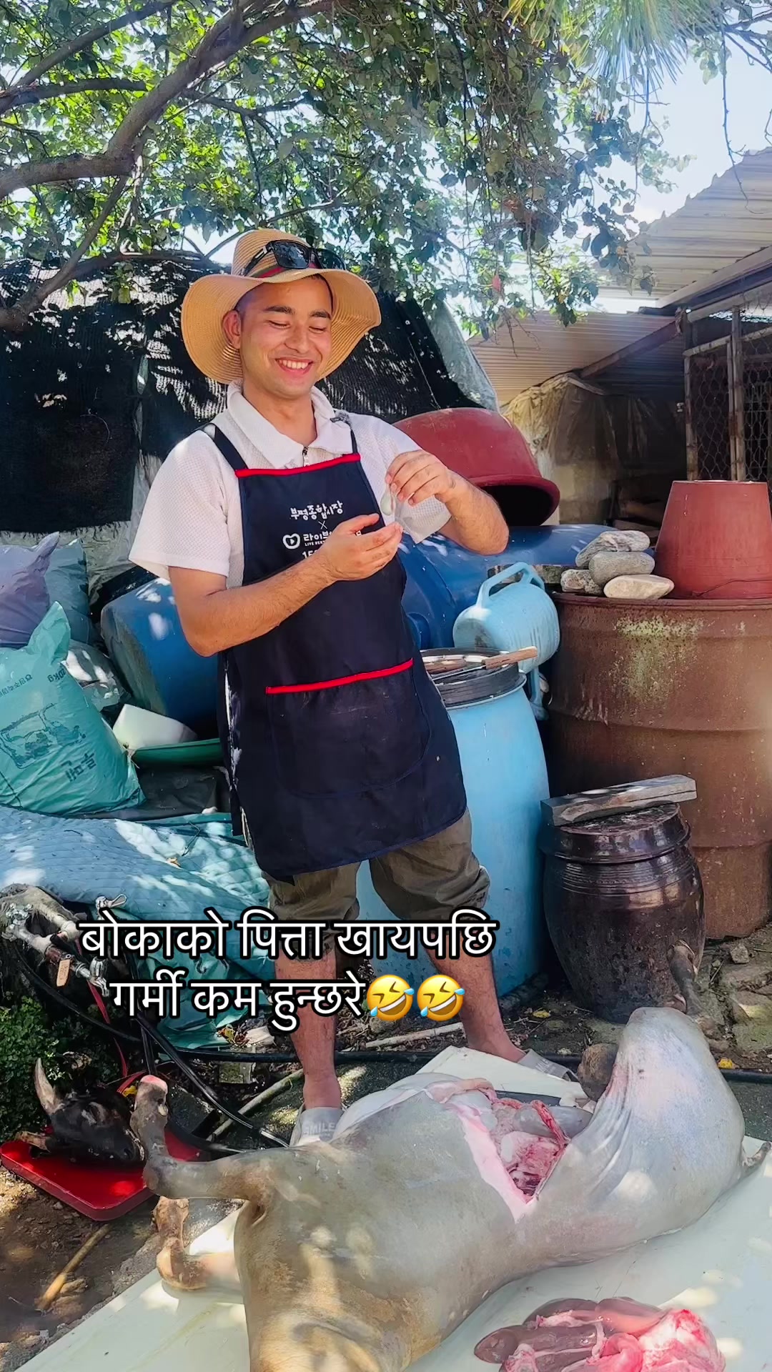 @Pradeep K cee 🇳🇵🇰🇷