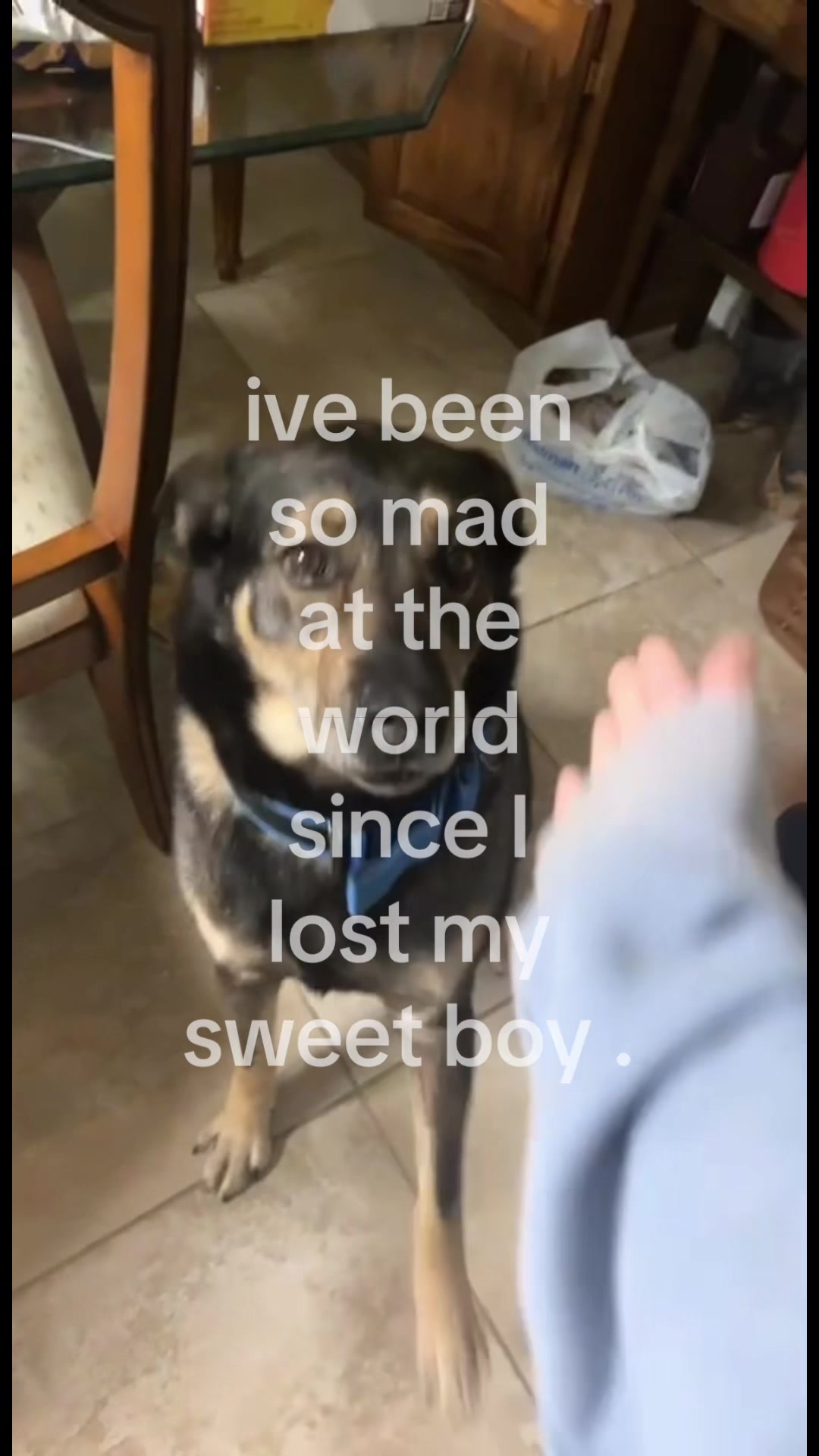 @sammymcookie