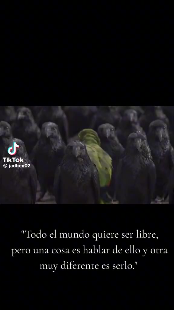 @Chuy Valerio