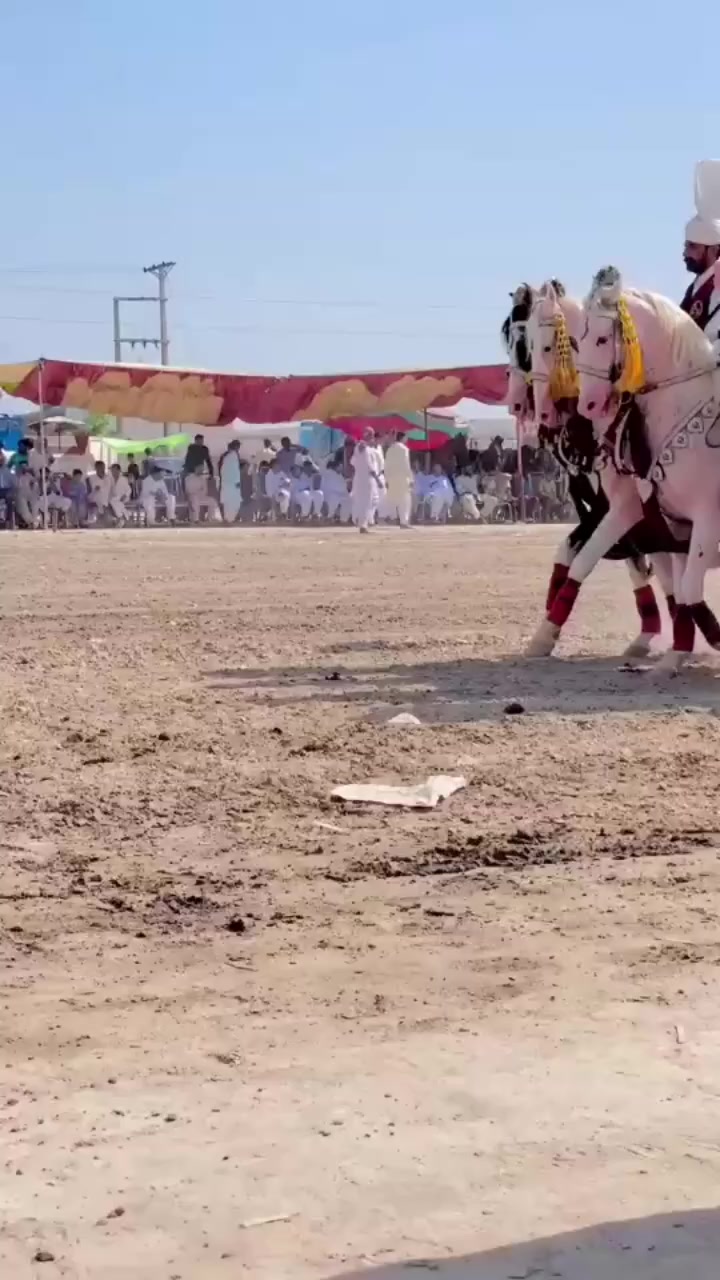 @ð¿Nð§ððð¿ð€ðð§ðð¿ðð€ð¿