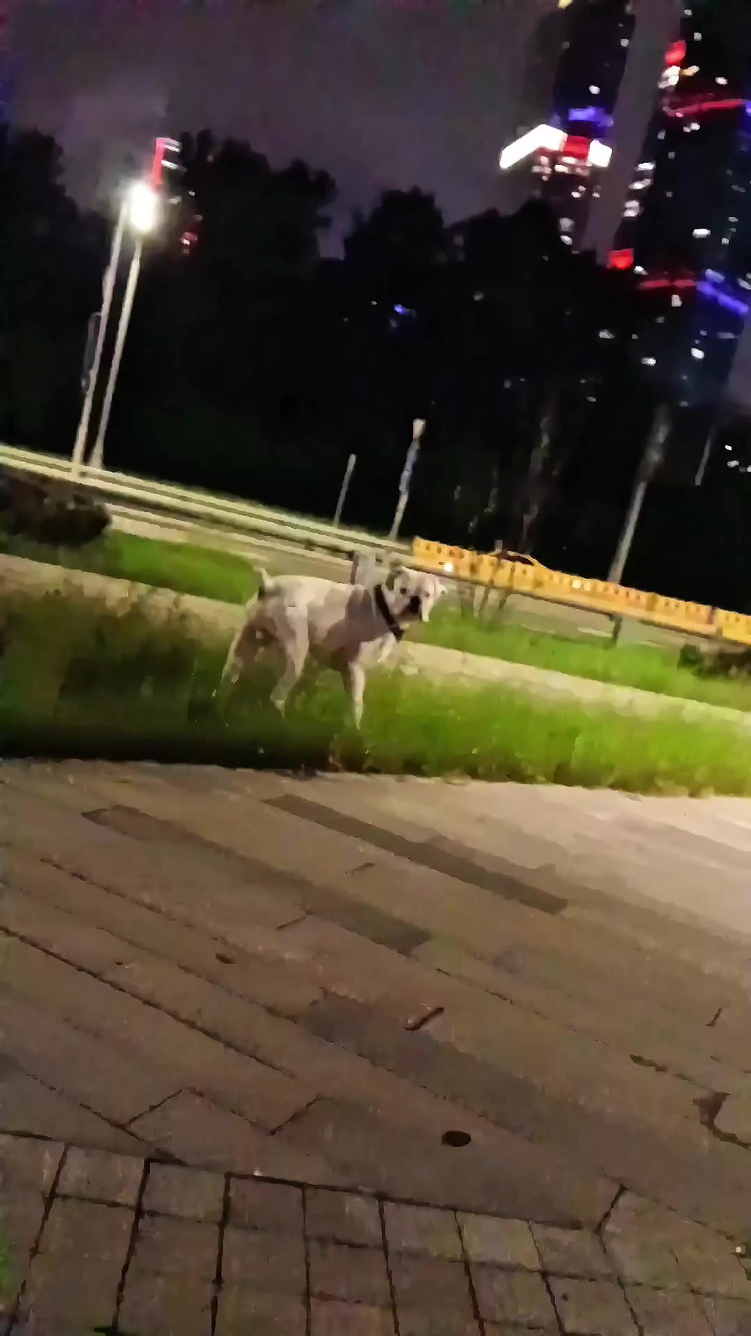 @Мысли вслух