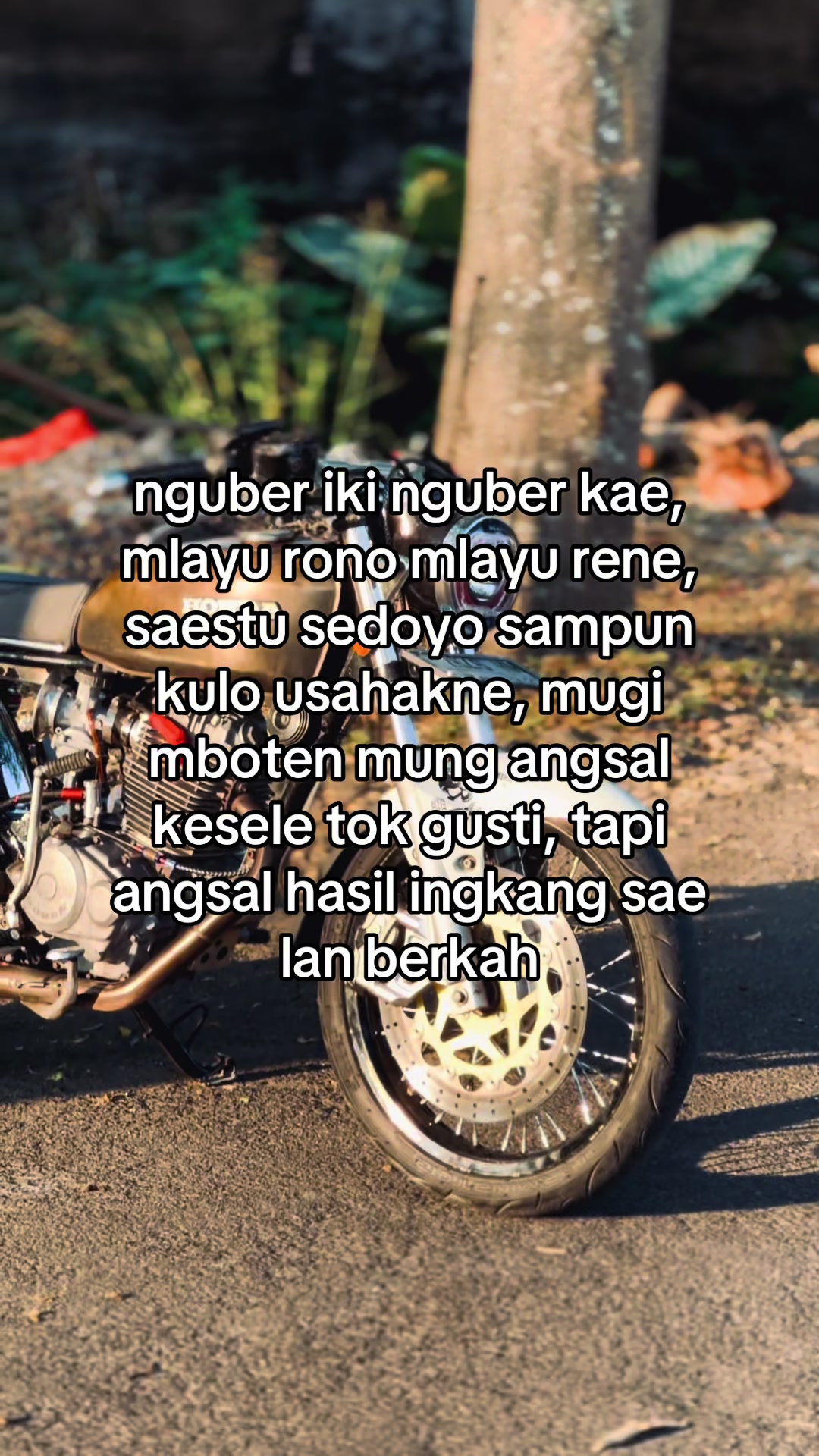 @Dewo