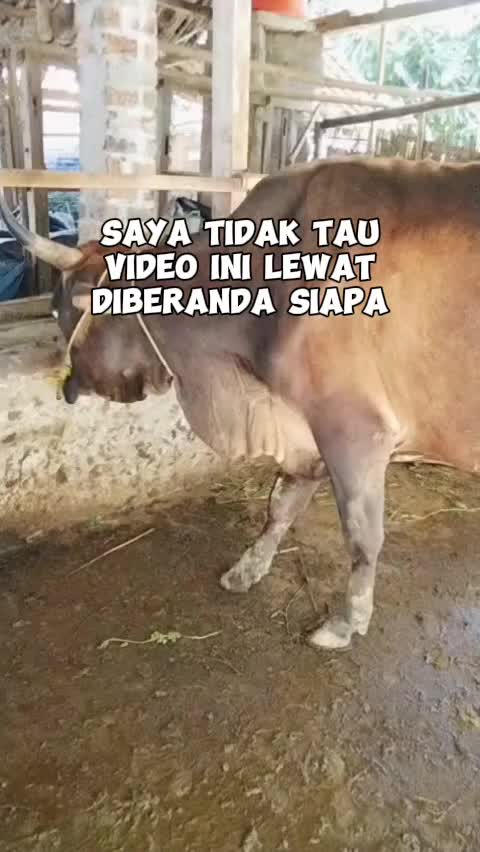 @Susi Ny Yusup