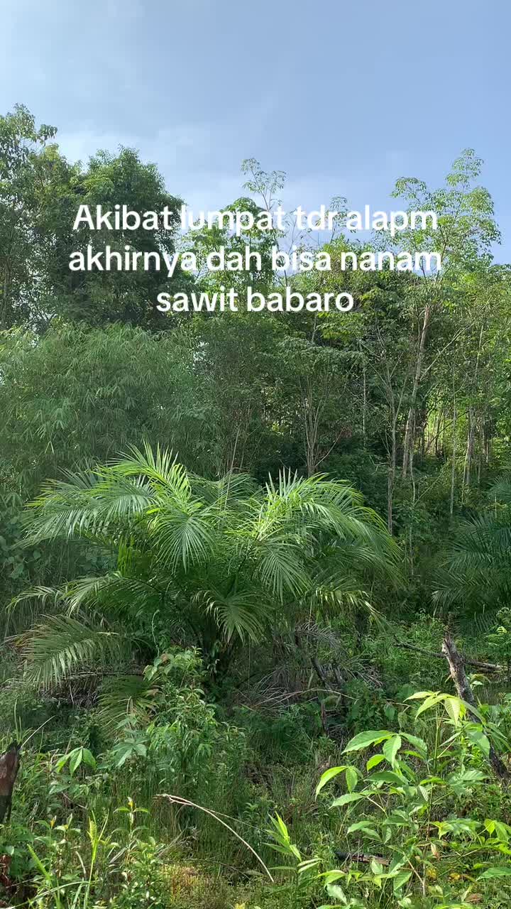 @REGA PUJUT