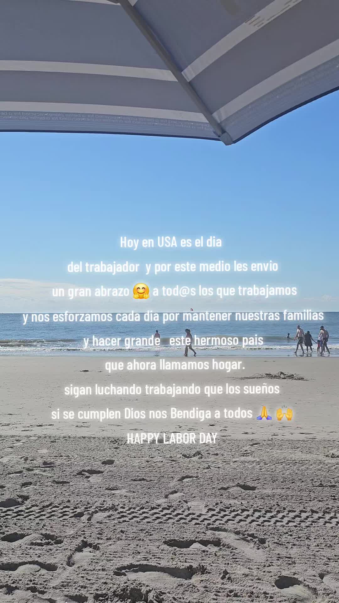 @Tiny Chihuahuas