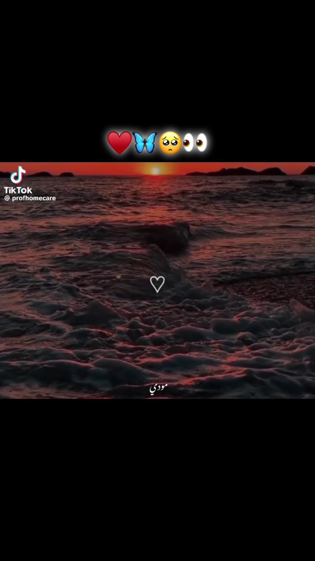 @𝓢𝓒𝓜_366&hearts;️🌼