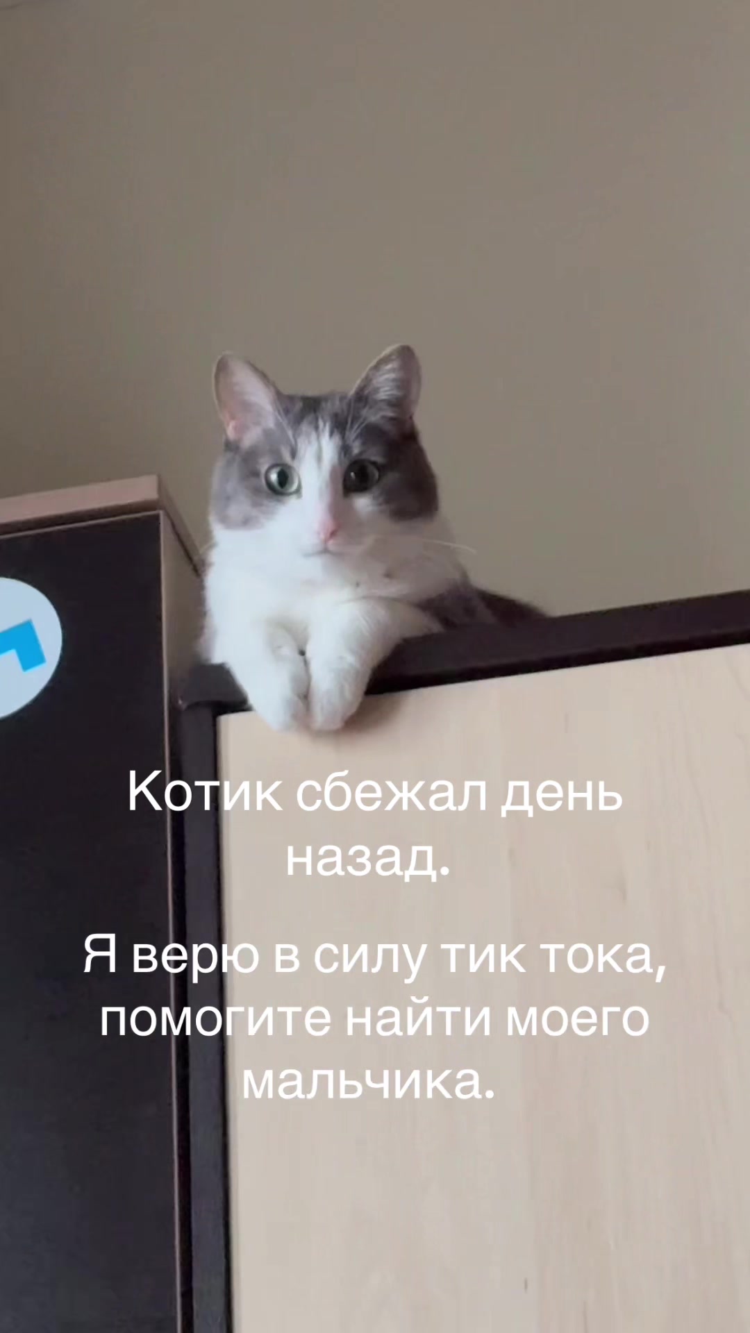 @Лисёна.🦊