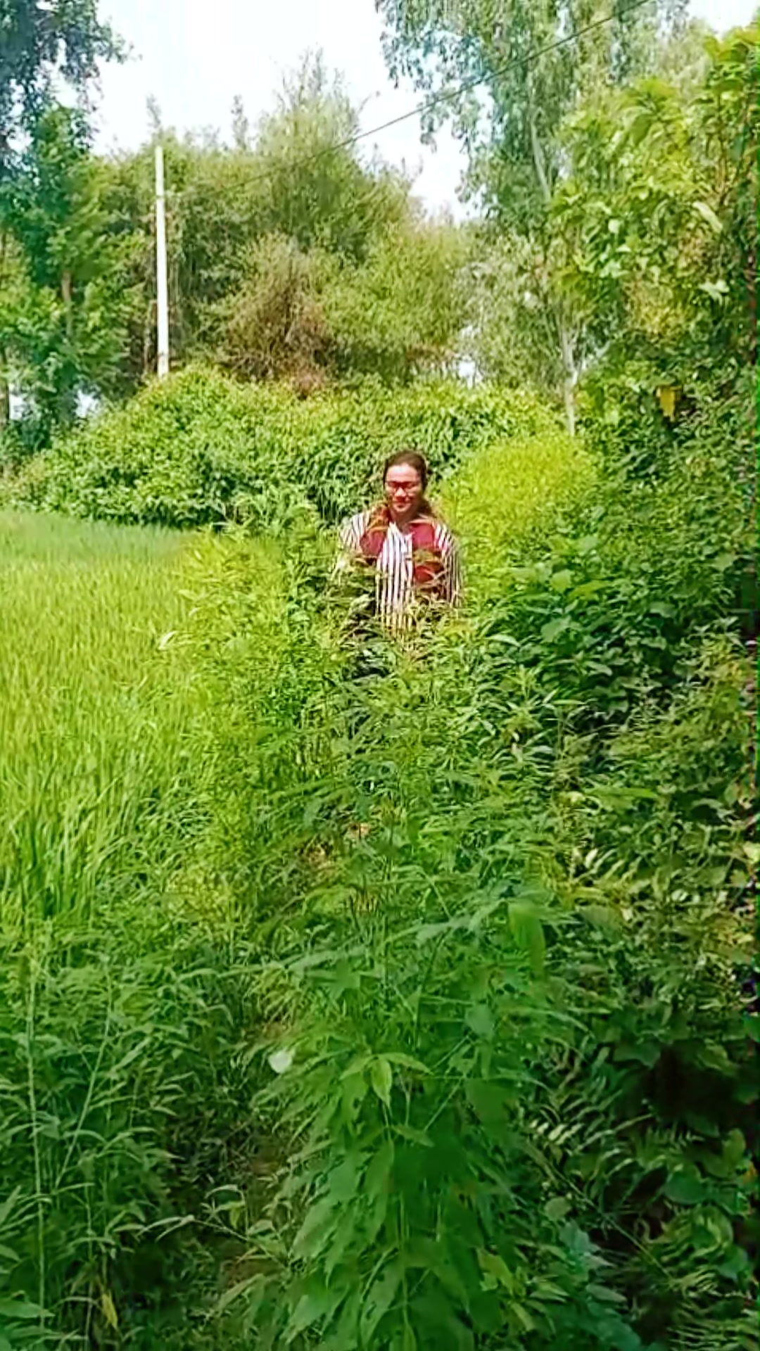 @Sangita das