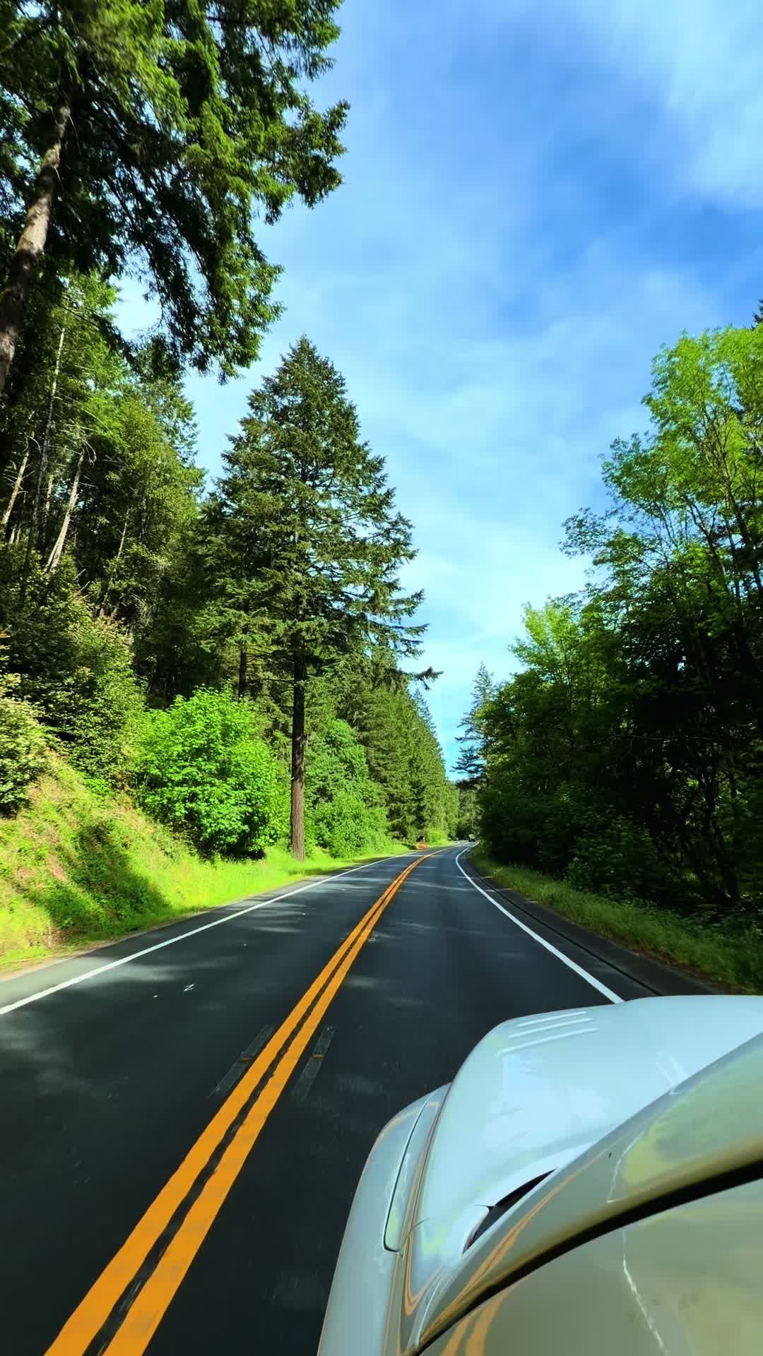 @ojeda_transport