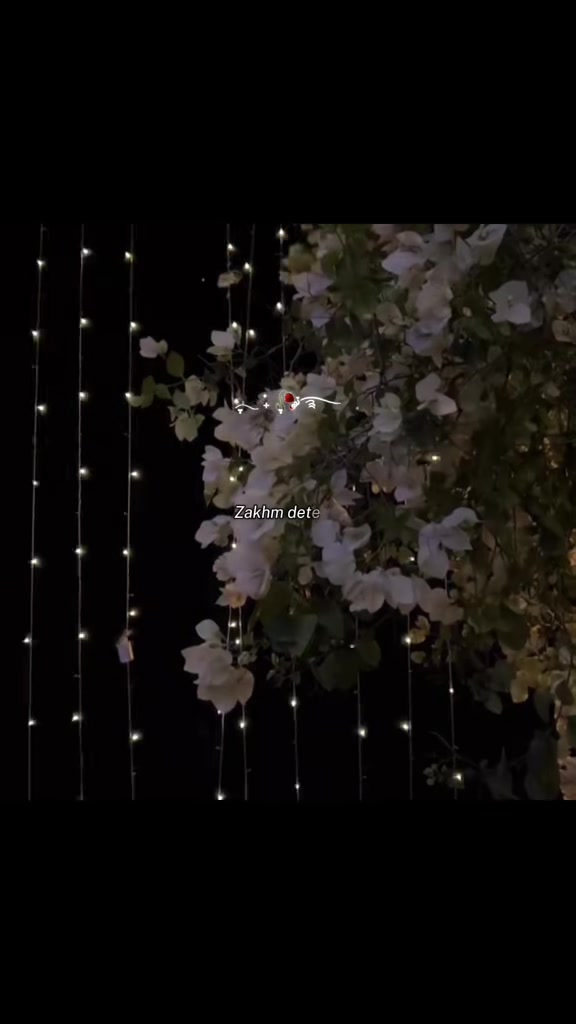 @𝒮𝒽𝒶𝓃𝒾𝑒𝓁𝒶ꫂ ၴႅၴ